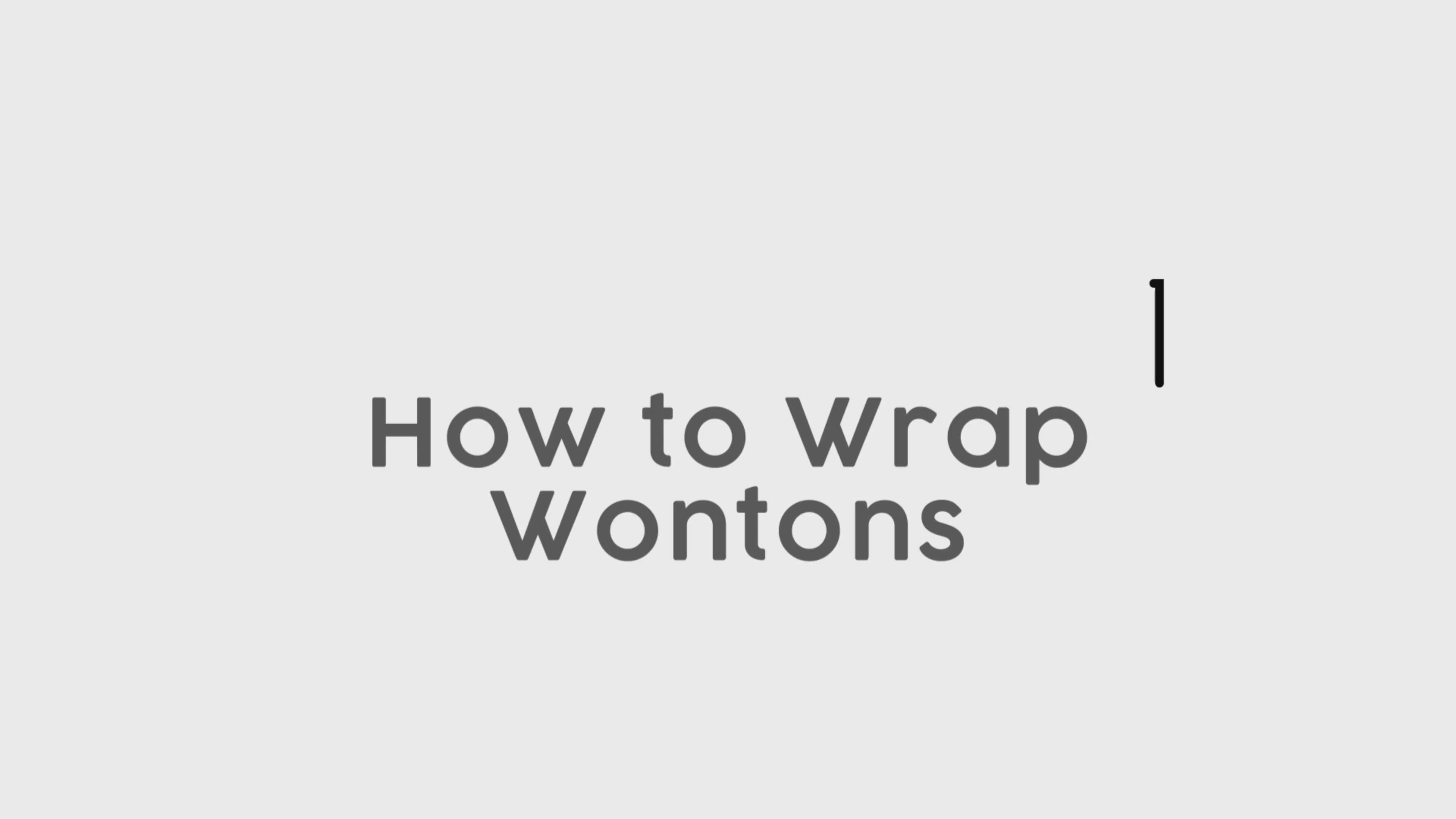 Gluten Free Wonton Wrapper Mix